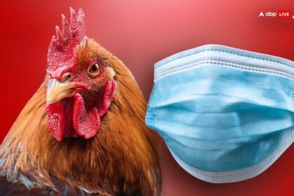 Early symptoms of bird flu can include mild eye redness fever cough sore throat इंसानों के लिए कितना ज्यादा घातक है बर्ड फ्लू? सबसे पहले दिखते हैं ये लक्षण