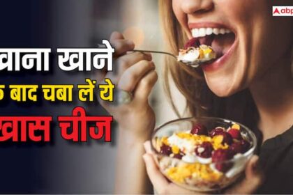 Chewing a clove after a meal can help with digestion and oral health रोज खाने के बाद चबा लें ये एक चीज, पेट की सारी दिक्कत हो जाएगी खत्म