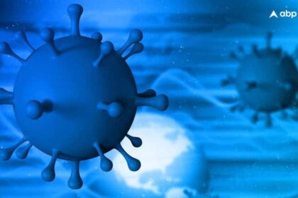 bat corona virus in china what is hku5 cov2 its symptoms and risks for india क्या भारत भी पहुंच सकता है चीन में मिला नया वायरस? शरीर के इन अंगों पर सबसे पहले करता है अटैक, जान लें लक्षण