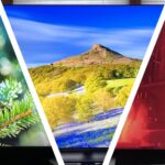 Collage of 3 TVs showing colorful images