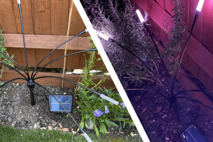 Nanoleaf Solar Garden Lights switched off during the day and illuminated purple at night