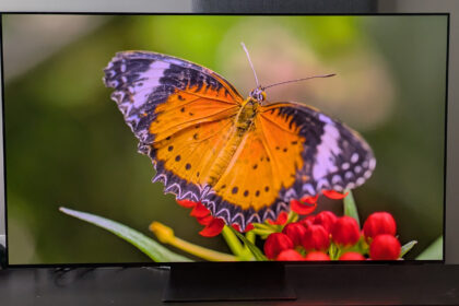 Samsung S95F hero image with butterfly on screen