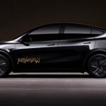 Tesla Robotaxi