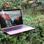 The MacBook (2016) 12-inch sat on a bush