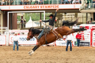 A rider hangs on to his horse during the 2024 Calgary Stampede.