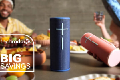 UE Megaboom 4 speakers in blue and pink being used at a picnic table.