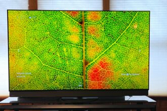 panasonci z95b showing image of leaf onscreen