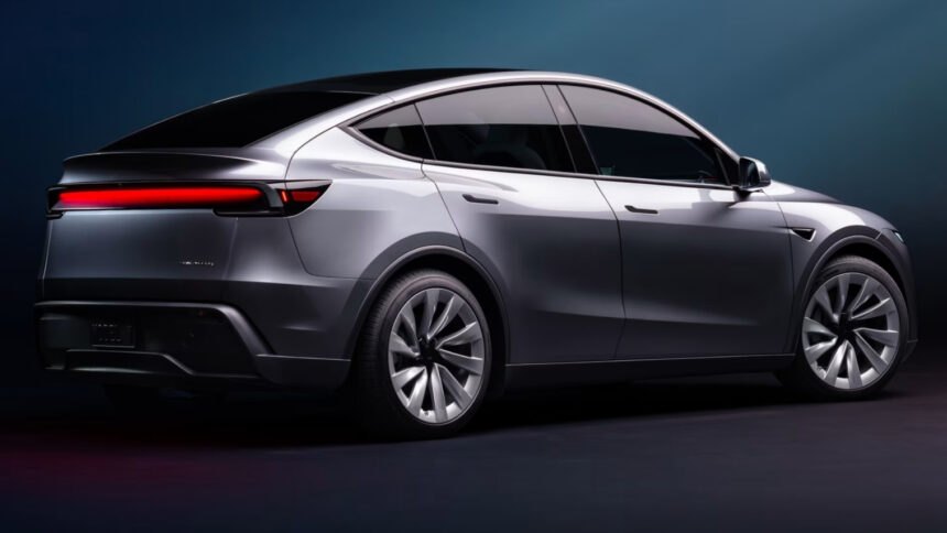Tesla Model Y (1)