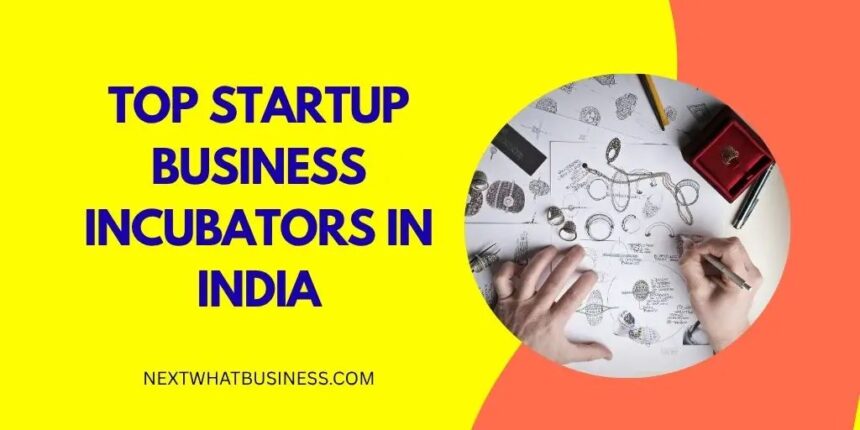 top startup business incubators in India