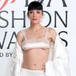 Lily Allen on the red carpet at the CFDA Awards, wearing a sheer, sparkling socking dress and striking a confident pose.